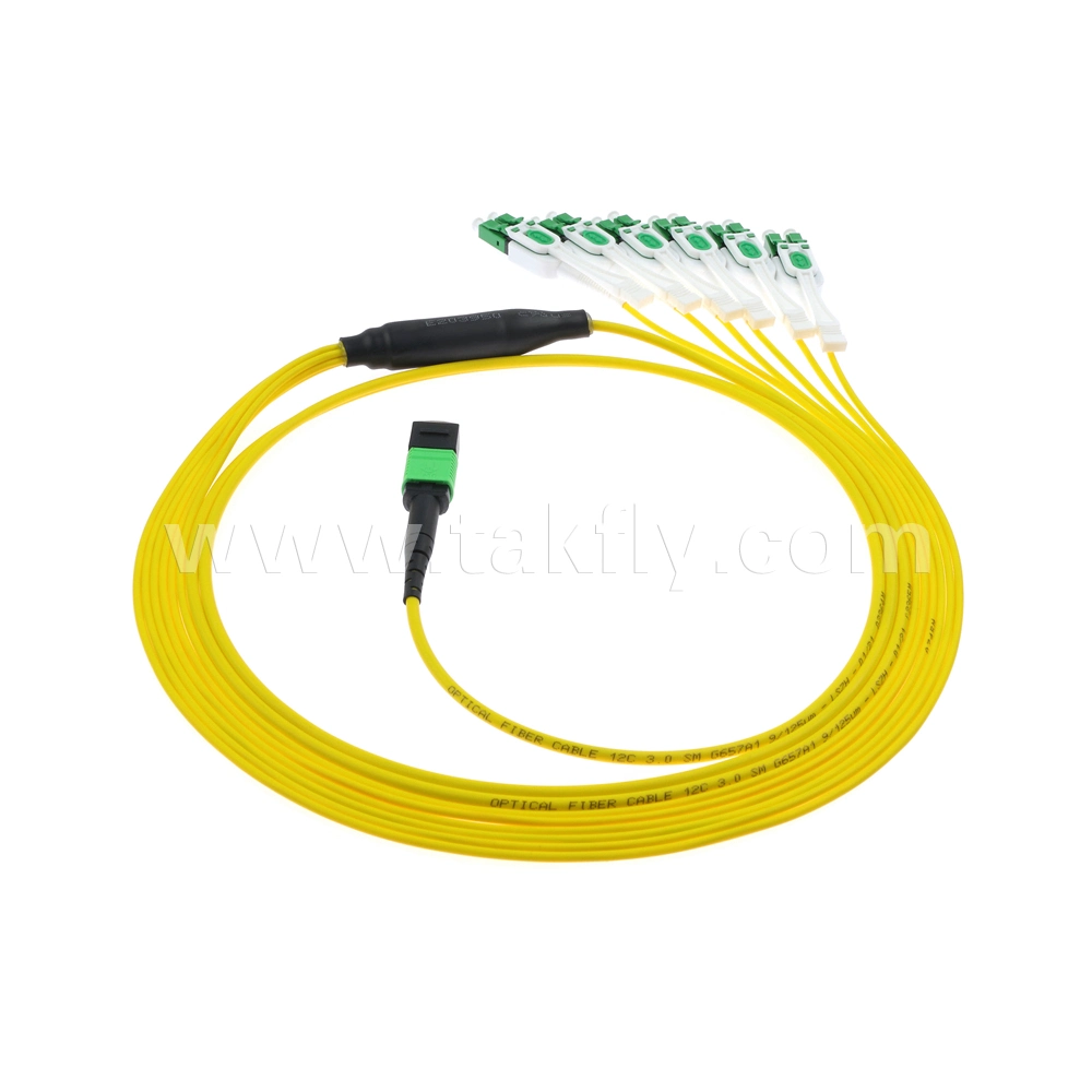 Low Insert Loss Elite Type 12 Fiber Singlemode MPO to LC Bunch Cable