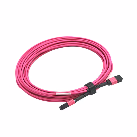 MTP メス - MTP メス トランク ケーブル アセンブリ、12 ファイバー、A 極、OM4 50/125、40G/100G