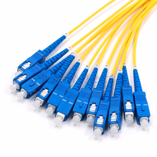 Cavo ファンアウト シンプレックス MTP/APC femmina a 12 SC/APC 12 ファイバー モノモーダリ 9/125 1 m (Cavo ブレークアウト 12 ファイバー MTP/APC a SC/APC)