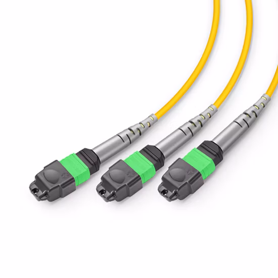 MTP メス - MTP メス トランク ケーブル アセンブリ、12 コア、A 極、OM5 50/125、100G